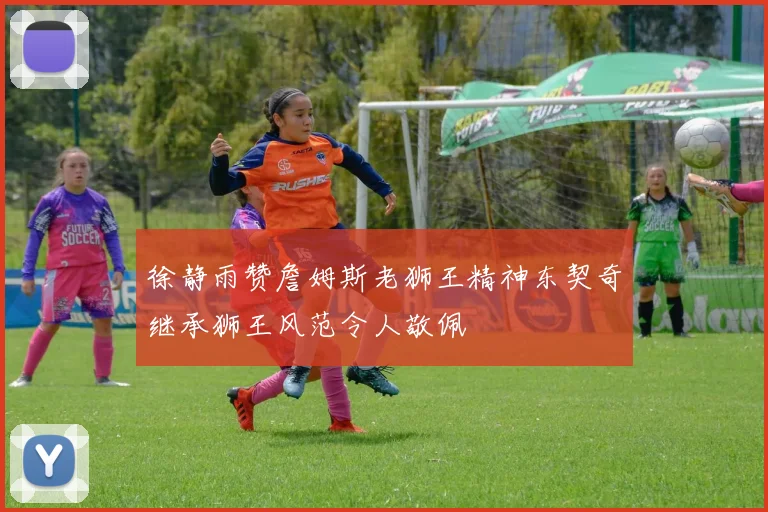徐静雨赞詹姆斯老狮王精神东契奇继承狮王风范令人敬佩