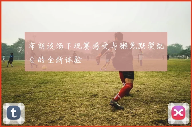 布朗谈场下观赛感受与獭兔默契配合的全新体验