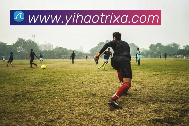 壹号体育发展历程